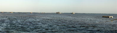 reef adicora