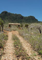 entrada s ana