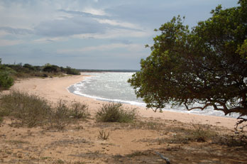 peninsula