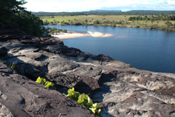 canaima